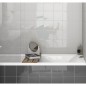 Carrelage rectangulaire contemporain gris foncé brillant eqxevolution 5x40cm, 10x40cm, 7.5x15cm. Carrelage rectangulaire contemporain gris foncé brillant eqxevolution 5x40cm, 10x40cm, 7.5x15cm.