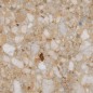 Carrelage imitation terrazzo doré mat rectifié 120x120, 90x90, 60x120, 60x60cm, santavenistone gold Carrelage imitation terrazzo doré mat rectifié 120x120, 90x90, 60x120, 60x60cm, santavenistone gold