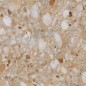 Carrelage imitation terrazzo doré mat rectifié 120x120, 90x90, 60x120, 60x60cm, santavenistone gold Carrelage imitation terrazzo doré mat rectifié 120x120, 90x90, 60x120, 60x60cm, santavenistone gold