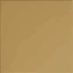 Carrelage Wix grès cérame vitrifié cognac en pleine masse 10x20cm, 20x20cm, hexagone 15x15cm